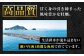 牡蠣 生食 むき身 殻付き かき カキ 生牡蠣 広島牡蠣 オイスター カキフライ 魚介類 貝類 海鮮 広島県産 国産 産地直送