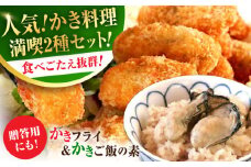 広島牡蠣の老舗！安心・安全の新鮮牡蠣 牡蠣 かきフライ Mサイズ 20個入 / かきご飯の素 1袋入 魚介類 和食 海鮮 海産物 広島県産 江田島市/株式会社かなわ [XBP032] 牡蠣 生食 冷凍 むき身 殻付き 殻付 殻 かき カキ 生牡蠣 広島牡蠣 オイスター カキフライ 魚介類 魚介 貝類 海鮮 広島県産 国産 産地直送 贈答 ギフト 特産品