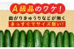 野菜 やさい きゅうり 胡瓜 キュウリ セット 新鮮 冷蔵 大容量 旬 詰め合わせ サラダ 漬物 漬け物 ギフト 広島県産 人気