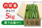 野菜 やさい きゅうり 胡瓜 キュウリ セット 新鮮 冷蔵 大容量 旬 詰め合わせ サラダ 漬物 漬け物 ギフト 広島県産 人気