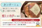 石窯パン詰め合わせAセットとEVオリーブオイル江田島ブレンド ストロング100mlセット ハードパン オリーブオイル 江田島