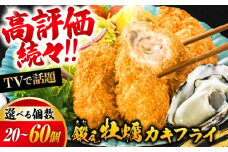 テレビで話題！広島県産 鍛え牡蠣 冷凍かきフライ 牡蠣 人気 料理 簡単 カキフライ おつまみ お弁当 お惣菜 おかず 江田島市/有限会社寺本水産 [XAE015] 牡蠣 冷凍 むき身 殻付き 殻付 殻 かき カキ 生牡蠣 広島牡蠣 オイスター カキフライ 魚介類 魚介 貝類 海鮮 広島県産 国産 産地直送 贈答 ギフト 特産品