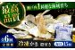 牡蠣 生食 むき身 殻付き かき カキ 生牡蠣 広島牡蠣 オイスター カキフライ 魚介類 貝類 海鮮 広島県産 国産 産地直送