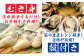 牡蠣 生食 むき身 殻付き かき カキ 生牡蠣 広島牡蠣 オイスター カキフライ 魚介類 貝類 海鮮 広島県産 国産 産地直送