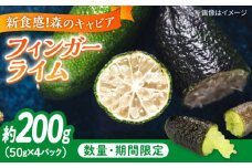 フルーツ 果物 くだもの 新感覚フルーツ！ 森のキャビア フィンガーライム 50g×4パック 柑橘 柑橘類 国産 ライム フルーツ 果物 くだもの ビタミン 美容 健康 オレンジ 果肉 果物 お取り寄せ ギフト 果物 蜜柑 柑橘 ミカン ギフト 贈り物 お取り寄せ ギフト リピート ギフト プレゼント 贈答 人気 高品質 好評 広島県産 江田島市/小原農園 [XCE011]