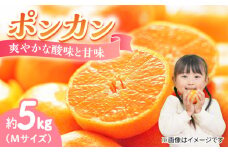 フルーツ 果物 くだもの 冬の期間限定！プロが見極めた食べ頃だけを厳選！ ポンカン 5kg 果物 蜜柑 柑橘 柑橘類 みかん ミカン スムージー ヨーグルト ビタミン 美容 健康 オレンジ 果肉 果物 お取り寄せ ギフト 果物 蜜柑 柑橘 ミカン ギフト 贈り物 お取り寄せ ギフト リピート ギフト プレゼント 贈答 人気 高品質 好評 広島県産 江田島市/小原農園 [XCE012]