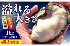 【1月30日（木）着】牡蠣 生食 むき身 かき カキ すぐに使える！【生牡蠣】【着日指定可能】かきうちの 牡蠣 むき身 1kg 牡蠣 かき カキ むき身 生牡蠣 広島 江田島市/株式会社かきうち [XBK002] 牡蠣 生食 むき身 殻付き 殻付 殻 かき カキ 生牡蠣 広島牡蠣 オイスター カキフライ 魚介類 魚介 貝類 海鮮 広島県産 国産 産地直送 贈答 ギフト 特産品