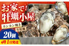 【1月31日（金）着】牡蠣 生食 殻付き かき カキ 【生牡蠣】【着日指定可能】究極の漁師めし！かきうちの 殻付き牡蠣 ガンガン焼き 20個 牡蠣 かき カキ 生牡蠣 ガンガン焼き 広島 江田島市/株式会社かきうち[XBK006] 牡蠣 生食 むき身 殻付き 殻付 殻 かき カキ 生牡蠣 広島牡蠣 オイスター カキフライ 魚介類 魚介 貝類 海鮮 広島県産 国産 産地直送 贈答 ギフト 特産品