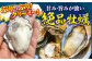 牡蠣 生食 むき身 殻付き かき カキ 生牡蠣 広島牡蠣 オイスター カキフライ 魚介類 貝類 海鮮 広島県産 国産 産地直送