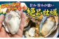 牡蠣 生食 むき身 殻付き かき カキ 生牡蠣 広島牡蠣 オイスター カキフライ 魚介類 貝類 海鮮 広島県産 国産 産地直送