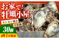 【1月22日（水）着】牡蠣 生食 殻付き かき カキ 【生牡蠣】【着日指定可能】究極の漁師めし！かきうちの 殻付き牡蠣 ガンガン焼き 30個 牡蠣 かき カキ 生牡蠣 ガンガン焼き 広島 江田島市/株式会社かきうち[XBK007] 牡蠣 生食 むき身 殻付き 殻付 殻 かき カキ 生牡蠣 広島牡蠣 オイスター カキフライ 魚介類 魚介 貝類 海鮮 広島県産 国産 産地直送 贈答 ギフト 特産品