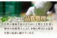 オリーブオイル エキストラバージン 油 国産 広島県産 贈答 ギフト オリーブオイル