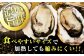 牡蠣 生食 むき身 殻付き かき カキ 生牡蠣 広島牡蠣 オイスター カキフライ 魚介類 貝類 海鮮 広島県産 国産 産地直送
