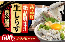 しらす 冷凍 生しらす 100g×6個 冷凍 しらす シラス 干し 釜揚げ 小分け 魚介類 鮮魚 ギフト 料理 レシピ シラス丼 しらす丼 海鮮丼 生 生産地 おつまみ ご飯のお供 グルメ やみつき 旬 国産 広島県産 リピート ギフト プレゼント 贈答 人気 高品質 好評 保存方法 江田島市/三島水産株式会社 [XCN005]