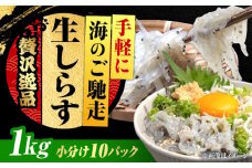 しらす 冷凍 生しらす 100g×10個 冷凍 しらす シラス 干し 釜揚げ 小分け 魚介類 鮮魚 ギフト 料理 レシピ シラス丼 しらす丼 海鮮丼 生 生産地 おつまみ ご飯のお供 グルメ やみつき 旬 国産 広島県産 リピート ギフト プレゼント 贈答 人気 高品質 好評 保存方法 江田島市/三島水産株式会社 [XCN006]