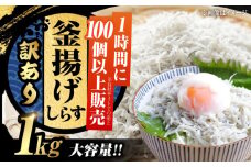 【訳あり】しらす 冷凍 シラス 釜揚げ鮮度抜群＆水分率80％!ふわふわ 釜揚げしらす  1kg （業務用） 冷凍 しらす シラス 干し 釜揚げ 小分け 魚介類 鮮魚 ギフト 料理 レシピ シラス丼 しらす丼 海鮮丼 生 生産地 おつまみ ご飯のお供 グルメ やみつき 旬 国産 広島県産 リピート ギフト プレゼント 贈答 人気 高品質 好評 保存方法 江田島/三島水産株式会社 [XCN007]