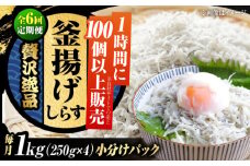 【全6回定期便】鮮度抜群＆水分率80％! ふわふわ 釜揚げしらす 1kg 冷凍 しらす シラス 干し 釜揚げ 小分け 魚介類 鮮魚 ギフト 料理 レシピ シラス丼 しらす丼 海鮮丼 生 生産地 おつまみ ご飯のお供 グルメ やみつき 旬 国産 広島県産 リピート ギフト プレゼント 贈答 人気 高品質 好評 保存方法 江田島市/三島水産株式会社 [XCN009]
