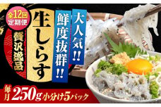 【全12回定期便】生しらす 50gX5個 冷凍 しらす シラス 干し 釜揚げ 小分け 魚介類 鮮魚 ギフト 料理 レシピ シラス丼 しらす丼 海鮮丼 生 生産地 おつまみ ご飯のお供 グルメ やみつき 旬 国産 広島県産 リピート ギフト プレゼント 贈答 人気 高品質 好評 保存方法 江田島市/三島水産株式会社 [XCN013]