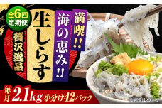 【全6回定期便】しらす 冷凍 生しらす 50g×42個 冷凍 しらす シラス 干し 釜揚げ 小分け 魚介類 鮮魚 ギフト 料理 レシピ シラス丼 しらす丼 海鮮丼 生 生産地 おつまみ ご飯のお供 グルメ やみつき 旬 国産 広島県産 リピート ギフト プレゼント 贈答 人気 高品質 好評 保存方法 江田島市/三島水産株式会社 [XCN018]