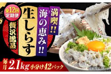 【全12回定期便】しらす 冷凍 生しらす 50g×42個 冷凍 しらす シラス 干し 釜揚げ 小分け 魚介類 鮮魚 ギフト 料理 レシピ シラス丼 しらす丼 海鮮丼 生 生産地 おつまみ ご飯のお供 グルメ やみつき 旬 国産 広島県産 リピート ギフト プレゼント 贈答 人気 高品質 好評 保存方法 江田島市/三島水産株式会社 [XCN019]