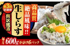 【全3回定期便】しらす 冷凍 生しらす 100g×6個 冷凍 しらす シラス 干し 釜揚げ 小分け 魚介類 鮮魚 ギフト 料理 レシピ シラス丼 しらす丼 海鮮丼 生 生産地 おつまみ ご飯のお供 グルメ やみつき 旬 国産 広島県産 リピート ギフト プレゼント 贈答 人気 高品質 好評 保存方法 江田島市/三島水産株式会社 [XCN020]