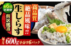 【全6回定期便】しらす 冷凍 生しらす 100g×6個 冷凍 しらす シラス 干し 釜揚げ 小分け 魚介類 鮮魚 ギフト 料理 レシピ シラス丼 しらす丼 海鮮丼 生 生産地 おつまみ ご飯のお供 グルメ やみつき 旬 国産 広島県産 リピート ギフト プレゼント 贈答 人気 高品質 好評 保存方法 江田島市/三島水産株式会社 [XCN021]