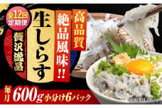 【全12回定期便】しらす 冷凍 生しらす 100g×6個 冷凍 しらす シラス 干し 釜揚げ 小分け 魚介類 鮮魚 ギフト 料理 レシピ シラス丼 しらす丼 海鮮丼 生 生産地 おつまみ ご飯のお供 グルメ やみつき 旬 国産 広島県産 リピート ギフト プレゼント 贈答 人気 高品質 好評 保存方法 江田島市/三島水産株式会社 [XCN022]