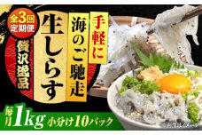 【全3回定期便】しらす 冷凍 生しらす 100g×10個 冷凍 しらす シラス 干し 釜揚げ 小分け 魚介類 鮮魚 ギフト 料理 レシピ シラス丼 しらす丼 海鮮丼 生 生産地 おつまみ ご飯のお供 グルメ やみつき 旬 国産 広島県産 リピート ギフト プレゼント 贈答 人気 高品質 好評 保存方法 江田島市/三島水産株式会社 [XCN023]