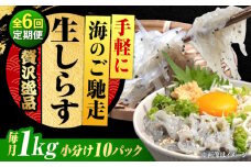 【全6回定期便】しらす 冷凍 生しらす100g×10個 冷凍 しらす シラス 干し 釜揚げ 小分け 魚介類 鮮魚 ギフト 料理 レシピ シラス丼 しらす丼 海鮮丼 生 生産地 おつまみ ご飯のお供 グルメ やみつき 旬 国産 広島県産 リピート ギフト プレゼント 贈答 人気 高品質 好評 保存方法 江田島市/三島水産株式会社 [XCN024]
