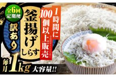 【全6回定期便】【訳あり】しらす 冷凍 ふわふわ 釜揚げしらす 1kg （業務用） 冷凍 しらす シラス 干し 釜揚げ 小分け 魚介類 鮮魚 ギフト 料理 レシピ シラス丼 しらす丼 海鮮丼 生 生産地 おつまみ ご飯のお供 グルメ やみつき 旬 国産 広島県産 リピート ギフト プレゼント 贈答 人気 高品質 好評 保存方法 江田島/三島水産株式会社 [XCN027]