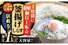 【全3回定期便】【訳あり】しらす 冷凍 ふわふわ 釜揚げしらす 1kg （業務用） 冷凍 しらす シラス 干し 釜揚げ 小分け 魚介類 鮮魚 ギフト 料理 レシピ シラス丼 しらす丼 海鮮丼 生 生産地 おつまみ ご飯のお供 グルメ やみつき 旬 国産 広島県産 リピート ギフト プレゼント 贈答 人気 高品質 好評 保存方法 江田島/三島水産株式会社 [XCN026]