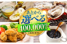 【あとから選べる】江田島市ふるさとギフト あとからギフト 40万円分 牡蠣 カキ かき オリーブオイル カレー フルーツ 海鮮 さつまいも すっぽん 海鮮 スイーツ ケーキ ギフト カタログ あとからセレクト グルメ 食品 お取り寄せ おつまみ 詰め合わせ ギフト カタログ あとからセレクト あとから寄付 駆け込み寄付 寄附 ポイント 400000円 四十万円 [XZZ028]
