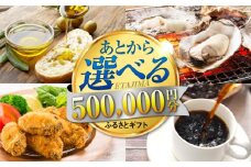 【あとから選べる】江田島市ふるさとギフト あとからギフト 50万円分 牡蠣 カキ かき オリーブオイル カレー フルーツ 海鮮 さつまいも すっぽん 海鮮 スイーツ ケーキ ギフト カタログ あとからセレクト グルメ 食品 お取り寄せ おつまみ 詰め合わせ ギフト カタログ あとからセレクト あとから寄付 駆け込み寄付 寄附 ポイント 500000円 五十万円 [XZZ029]