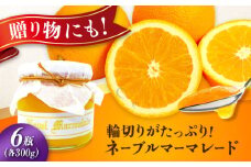 人気のお土産！リピート率ナンバーワン！中下農園の『ネーブルマーマレード』（箱入り・大6個）みかん ミカン マーマレード ママレード ジャム じゃむ 瓶 手作り パン 無添加 オレンジ ネーブル 果実 柑橘 果物 くだもの フルーツ ギフト 贈答品 贈り物 広島県産 江田島市/江田島市観光協会 [XAI008]