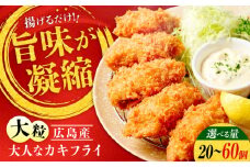 贅沢な一品！こだわり大粒の『大人なカキフライ』【瞬間冷凍】60個入り 牡蠣 かき カキ 大粒 かき 海鮮 和食 海産物 広島県産 江田島市/有限会社マルイチ水産 [XCU003 牡蠣 生食 冷凍 むき身 殻付き 殻付 殻 かき カキ 生牡蠣 広島牡蠣 オイスター カキフライ 魚介類 魚介 貝類 海鮮 広島県産 国産 産地直送 贈答 ギフト 特産品
