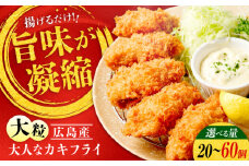 贅沢な一品！こだわり大粒の『大人なカキフライ』【瞬間冷凍】60個入り 牡蠣 かき カキ 大粒 かき 海鮮 和食 海産物 広島県産 江田島市/有限会社マルイチ水産 [XCU003 牡蠣 生食 冷凍 むき身 殻付き 殻付 殻 かき カキ 生牡蠣 広島牡蠣 オイスター カキフライ 魚介類 魚介 貝類 海鮮 広島県産 国産 産地直送 贈答 ギフト 特産品