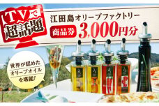 『江田島オリーブファクトリー』 商品券 3000円分（1000円分×3枚） オリーブオイル 食用油 国産 広島県産 エキストラバージン エクストラバージン おりーぶおいる おいる オリーブ油 油 調味料 食用油 ヘルシー 健康 国産 広島県産 贈答 ギフト オリーブオイル リピート ギフト プレゼント 贈答 人気 高品質 好評 広島県産 江田島市/山本倶楽部株式会社 [XAJ094]