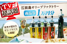 『江田島オリーブファクトリー』 商品券 1万円分（1000円分×10枚） オリーブオイル 食用油 国産 広島県産 エキストラバージン エクストラバージン おりーぶおいる おいる オリーブ油 油 調味料 食用油 ヘルシー 健康 国産 広島県産 贈答 ギフト オリーブオイル リピート ギフト プレゼント 贈答 人気 高品質 好評 広島県産 江田島市/山本倶楽部株式会社 [XAJ097]