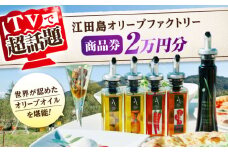 『江田島オリーブファクトリー』 商品券 2万円分（1000円分×20枚） オリーブオイル 食用油 国産 広島県産 エキストラバージン エクストラバージン おりーぶおいる おいる オリーブ油 油 調味料 食用油 ヘルシー 健康 国産 広島県産 贈答 ギフト オリーブオイル リピート ギフト プレゼント 贈答 人気 高品質 好評 広島県産 江田島市/山本倶楽部株式会社 [XAJ098]