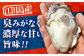 牡蠣 生食 むき身 殻付き かき カキ 生牡蠣 広島牡蠣 オイスター カキフライ 魚介類 貝類 海鮮 広島県産 国産 産地直送