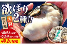 【2月14日（金）着】牡蠣 生食 むき身 殻付き かき カキ 大粒でぷりっぷり！【生牡蠣】かきうちの 牡蠣 むき身 500g＆殻付き 10個 かき 海鮮 和食 新鮮 簡単 レシピ 広島県産 江田島市/株式会社かきうち [XBK010] 牡蠣 生食 むき身 殻付き 殻付 殻 かき カキ 生牡蠣 広島牡蠣 オイスター カキフライ 魚介類 魚介 貝類 海鮮 広島県産 国産 産地直送 贈答 ギフト 特産品