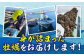 牡蠣 生食 むき身 殻付き かき カキ 生牡蠣 広島牡蠣 オイスター カキフライ 魚介類 貝類 海鮮 広島県産 国産 産地直送