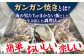 牡蠣 生食 むき身 殻付き かき カキ 生牡蠣 広島牡蠣 オイスター カキフライ 魚介類 貝類 海鮮 広島県産 国産 産地直送