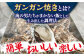 牡蠣 生食 むき身 殻付き かき カキ 生牡蠣 広島牡蠣 オイスター カキフライ 魚介類 貝類 海鮮 広島県産 国産 産地直送