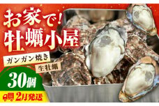 【2月19日（水）着】牡蠣 生食 殻付き かき カキ 【生牡蠣】究極の漁師めし！かきうちの殻付き牡蠣ガンガン焼き 30個 かき 海鮮 和食 海産物簡単 レシピ 広島県産 江田島市/株式会社かきうち [XBK012] 牡蠣 生食 むき身 殻付き 殻付 殻 かき カキ 生牡蠣 広島牡蠣 オイスター カキフライ 魚介類 魚介 貝類 海鮮 広島県産 国産 産地直送 贈答 ギフト 特産品