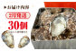 牡蠣 生食 むき身 殻付き かき カキ 生牡蠣 広島牡蠣 オイスター カキフライ 魚介類 貝類 海鮮 広島県産 国産 産地直送