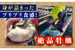 牡蠣 生食 むき身 殻付き かき カキ 生牡蠣 広島牡蠣 オイスター カキフライ 魚介類 貝類 海鮮 広島県産 国産 産地直送