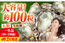 【2月13日（木）着】牡蠣 生食 殻付き かき カキ 【生牡蠣】大容量！かきうちの殻付き一斗缶 かき 海鮮 和食 海産物簡単 レシピ 広島県産 江田島市/株式会社かきうち [XBK015] 牡蠣 生食 むき身 殻付き 殻付 殻 かき カキ 生牡蠣 広島牡蠣 オイスター カキフライ 魚介類 魚介 貝類 海鮮 広島県産 国産 産地直送 贈答 ギフト 特産品