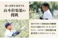 オリーブオイル エキストラバージン 油 国産 広島県産 贈答 ギフト オリーブオイル