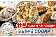 【絶景オーシャンビュー】 オイスターカフェ江田島 お食事券 3000円分（1000円分×3枚） カフェ 牡蠣 かき カキ オイスター カキフライ 魚介類 海鮮 食事券 料理 旅行 体験 観光 料理 洋食 贈答 ランチ コース レストラン フレンチ イタリアン ギフト券 グルメ お店 予約 昼食 ランチ お祝い 記念日 広島県 人気 江田島市/オーシャンポイント株式会社 [XCS001]